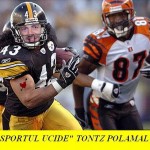 tontz-polamalu